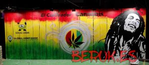 Graffiti Mural Spannabis Jamaica Bob Marley 300x100000